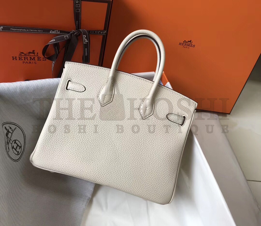 H**me5 Birkin 25 Bag In Beton Clemence Leather with GHW Master Quality