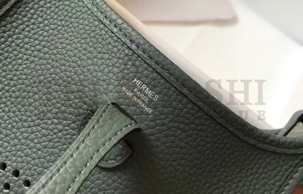 H**me5 Evelyne III TPM Bag In Vert Amande Clemence Leather Master Quality