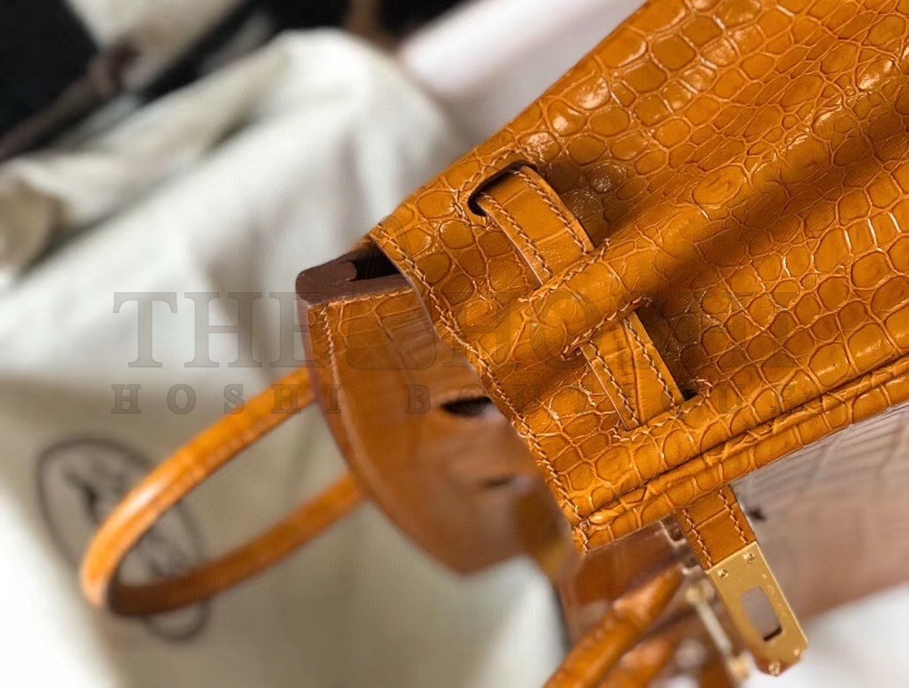 H**me5 Birkin 25cm Bag In Gold Embossed Crocodile Leather Master Quality