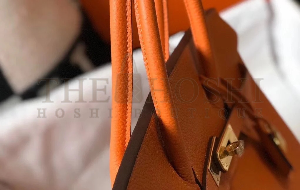 H**me5 Birkin 30 Bag in Orange Clemence Leather with GHW Master Quality
