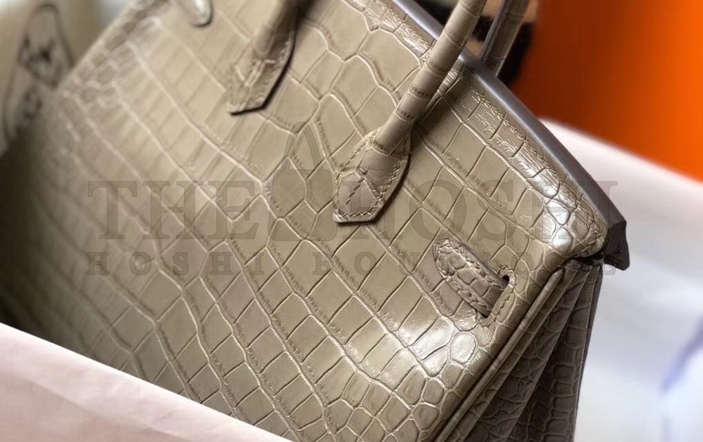 H**me5 Birkin 25cm Bag In Taupe Embossed Crocodile Leather Master Quality