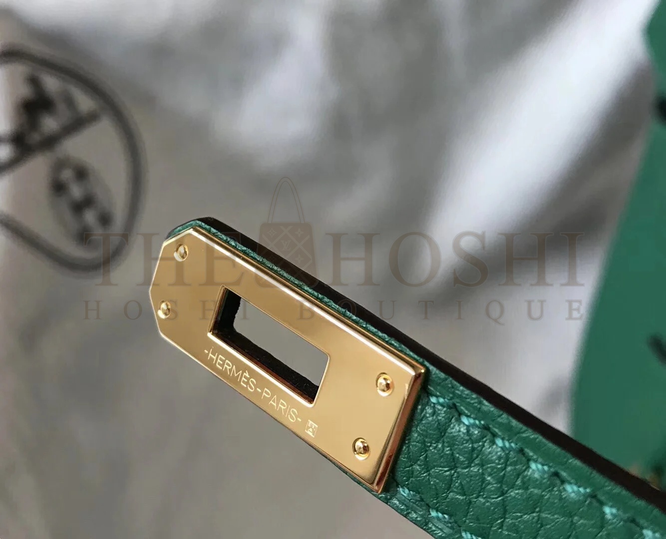 H**me5 Birkin 25 Bag In Vert Vertigo Clemence Leather with GHW Master Quality