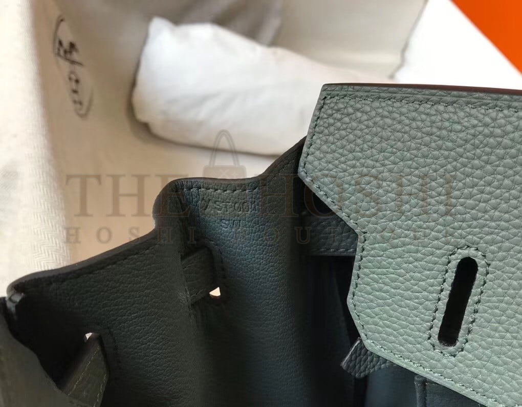 H**me5 Birkin 30 Bag in Vert Amande Clemence Leather with GHW Master Quality