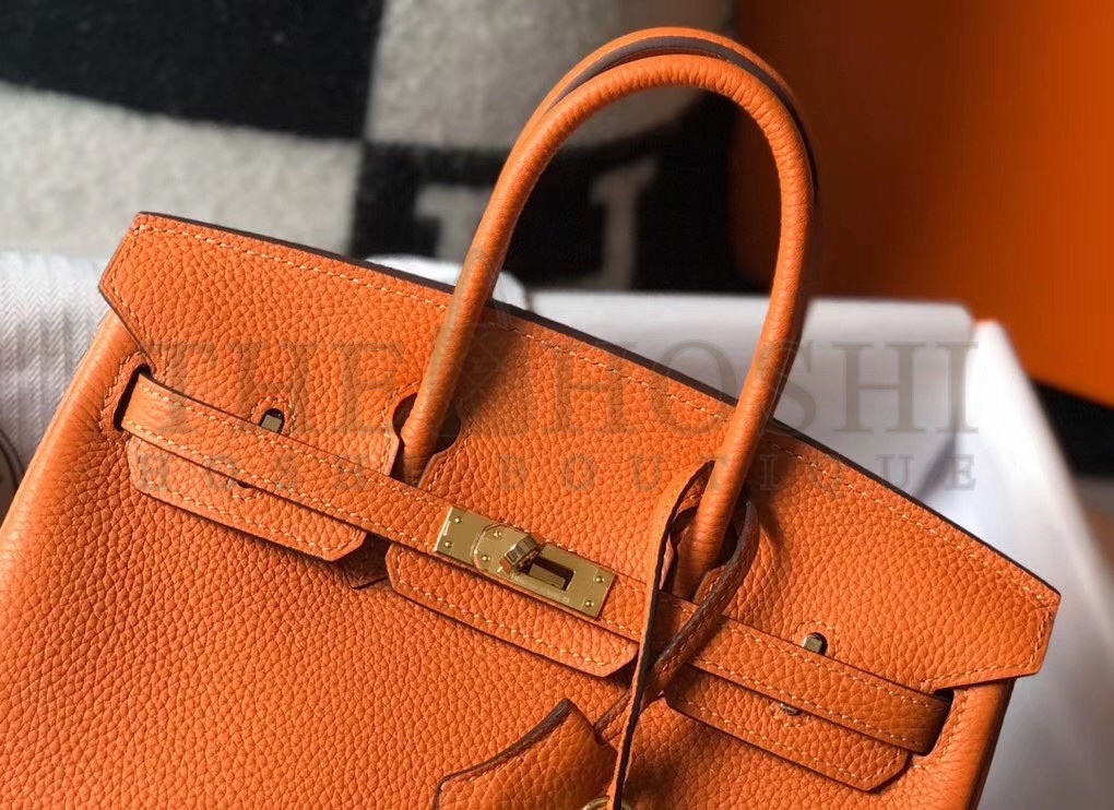 H**me5 Birkin 25 Bag In Orange Clemence Leather with GHW Master Quality