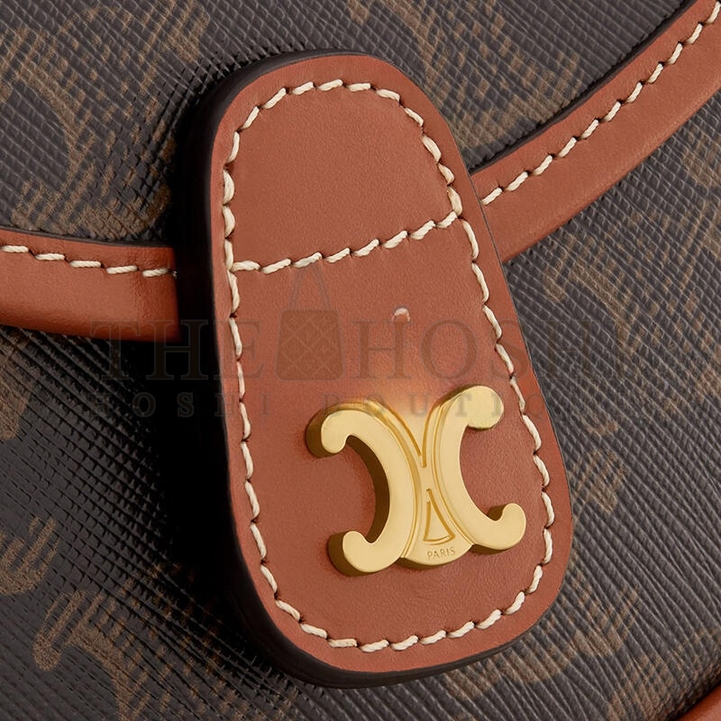 Ce1i*e MINI BESACE IN TRIOMPHE CANVAS AND CALFSKIN 196702BZJ.04LU (15*11*4cm) Master Quality